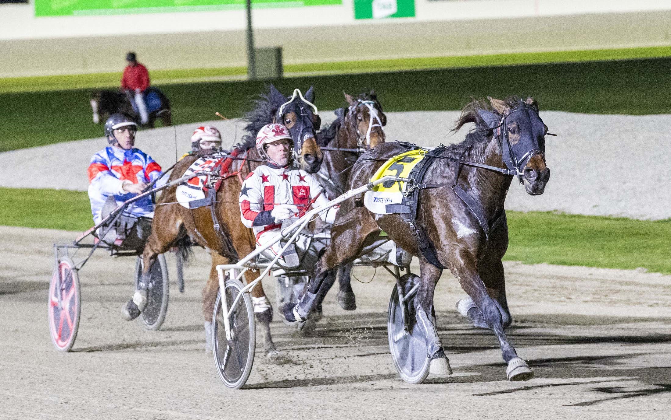 Wharton Trotter driving Graham's quest for Group 1 glory Harness